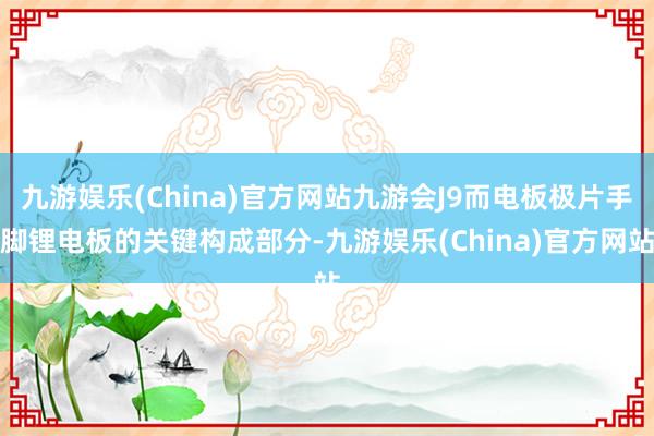九游娱乐(China)官方网站九游会J9而电板极片手脚锂电板的关键构成部分-九游娱乐(China)官方网站