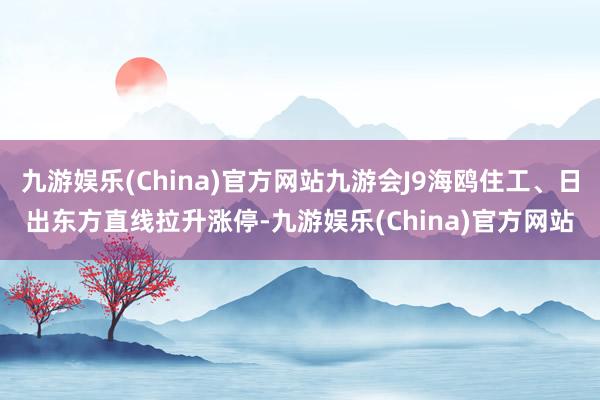 九游娱乐(China)官方网站九游会J9海鸥住工、日出东方直线拉升涨停-九游娱乐(China)官方网站