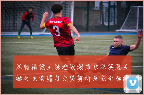 沃特福德主场迎战谢菲尔联英冠关键对决前瞻与走势解析看点全面读