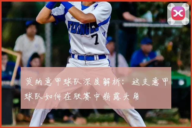 莫纳意甲球队深度解析：这支意甲球队如何在联赛中崭露头角