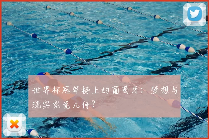 世界杯冠军榜上的葡萄牙:梦想与现实究竟几何?