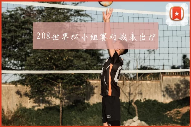 208世界杯小组赛对战表出炉