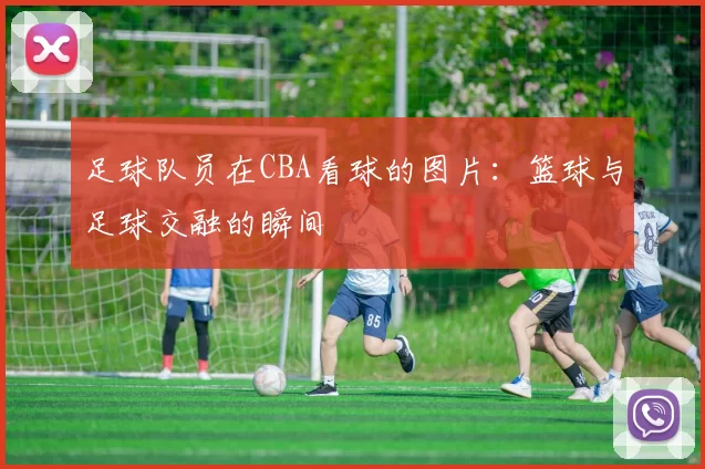 足球队员在CBA看球的图片：篮球与足球交融的瞬间