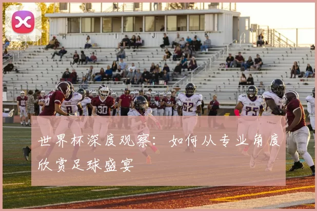 世界杯深度观察:如何从专业角度欣赏足球盛宴