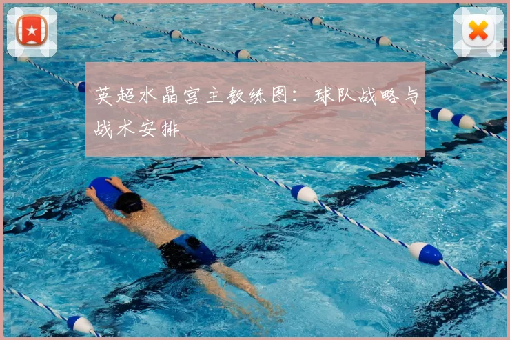 英超水晶宫主教练图：球队战略与战术安排