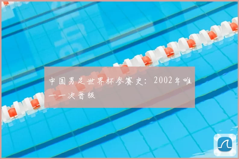 中国男足世界杯参赛史:2002年唯一一次晋级