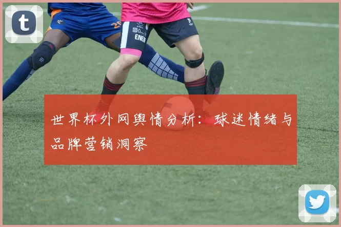 世界杯外网舆情分析：球迷情绪与品牌营销洞察