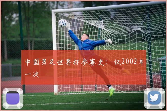 中国男足世界杯参赛史:仅2002年一次