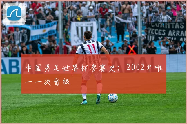 中国男足世界杯参赛史:2002年唯一一次晋级