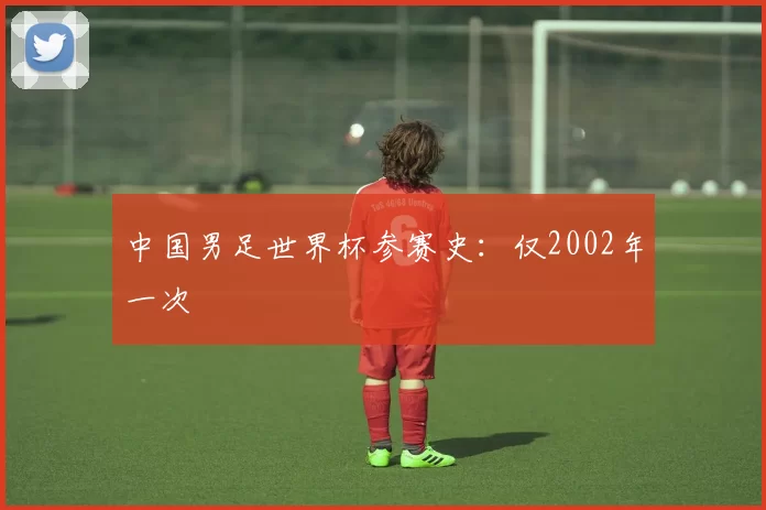 中国男足世界杯参赛史:仅2002年一次