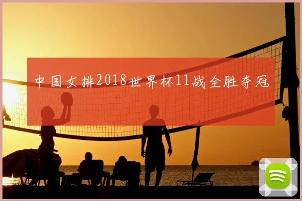 中国女排2018世界杯11战全胜夺冠