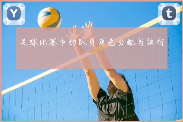足球比赛中的队员角色分配与执行