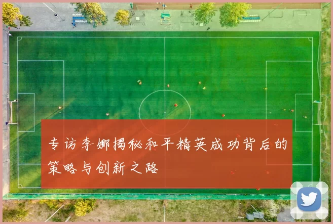 专访李娜揭秘和平精英成功背后的策略与创新之路