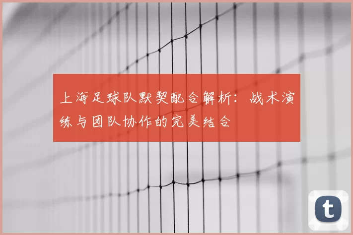 上海足球队默契配合解析:战术演练与团队协作的完美结合