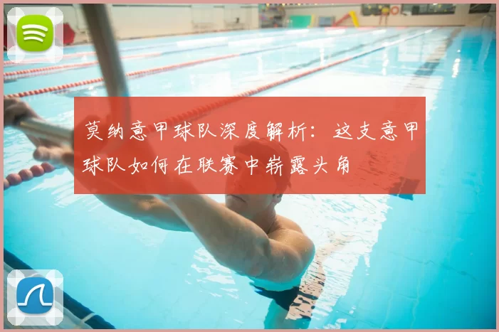 莫纳意甲球队深度解析：这支意甲球队如何在联赛中崭露头角