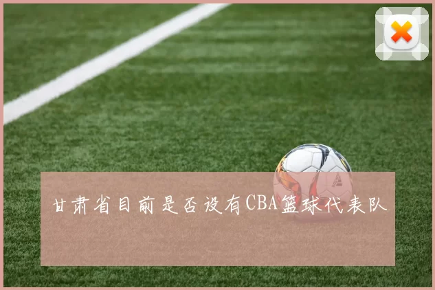 甘肃省目前是否设有CBA篮球代表队