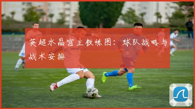 英超水晶宫主教练图：球队战略与战术安排