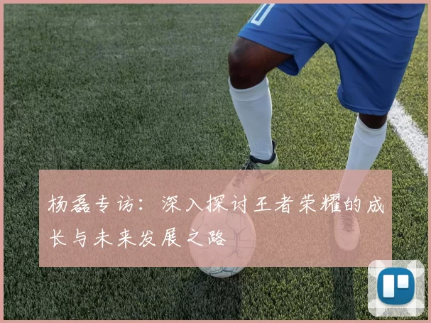 杨磊专访：深入探讨王者荣耀的成长与未来发展之路