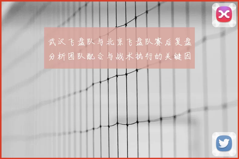 武汉飞盘队与北京飞盘队赛后复盘分析团队配合与战术执行的关键因素