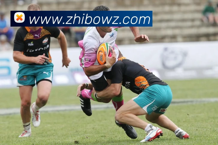 kaiyun平台生态图