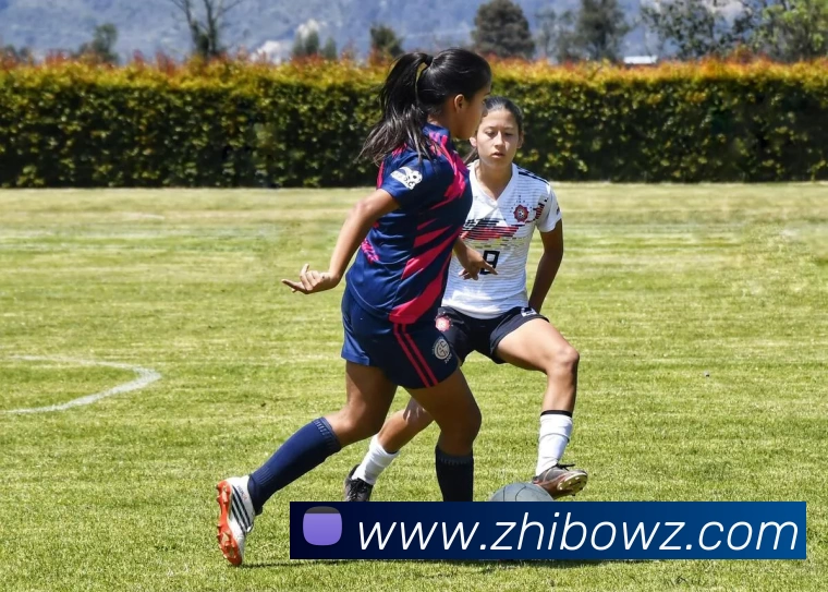 数据防护可视化